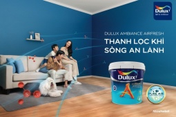 Thị trường - Tiêu dùng - Tái định nghĩa không gian sống đẳng cấp với giải pháp sơn thanh lọc không khí