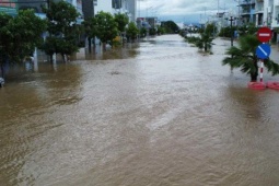 Tin tức trong ngày - Thống kê mới nhất về thiệt hại do mưa lũ ở miền Trung