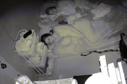 Bạn trẻ - Cuộc sống - Rắn độc gần 2m bò sát mép đệm lúc rạng sáng ở TPHCM, mẹ trẻ bình tĩnh xử lý