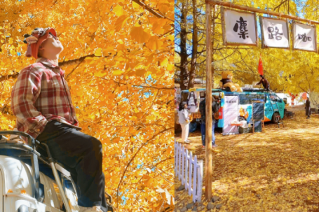 Đằng Xung mùa lá bạch quả vàng, đẹp như chốn bồng lai