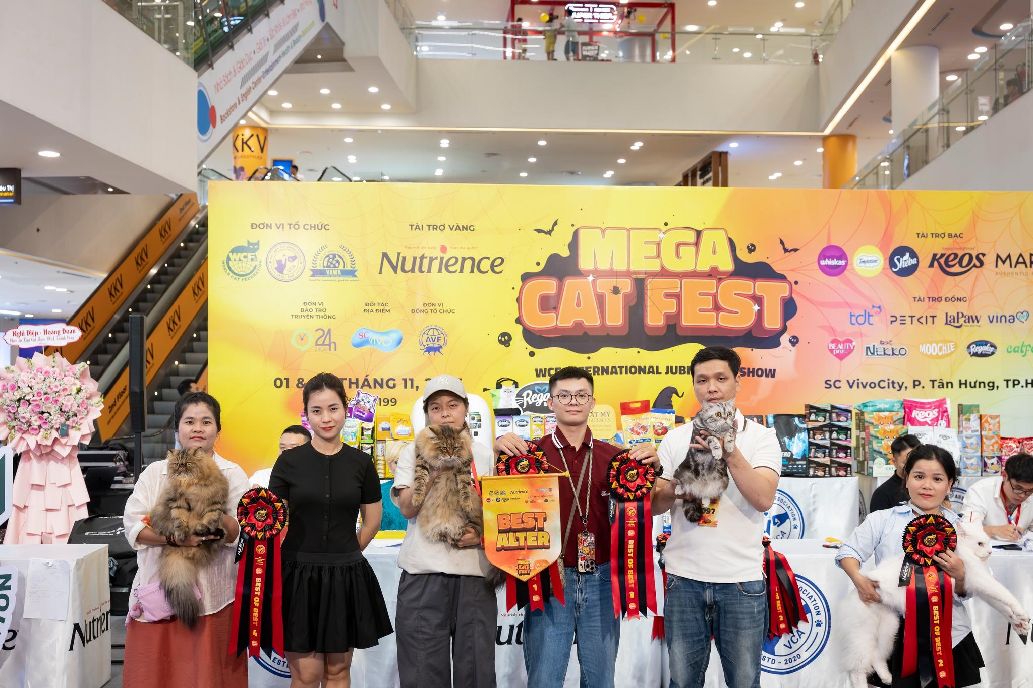  Sự ra đời của WCF cat show không chỉ đánh dấu bước ngoặt của cộng đồng yêu mèo mà còn khẳng định vị thế Việt Nam trên bản đồ các cuộc thi mèo quốc tế.