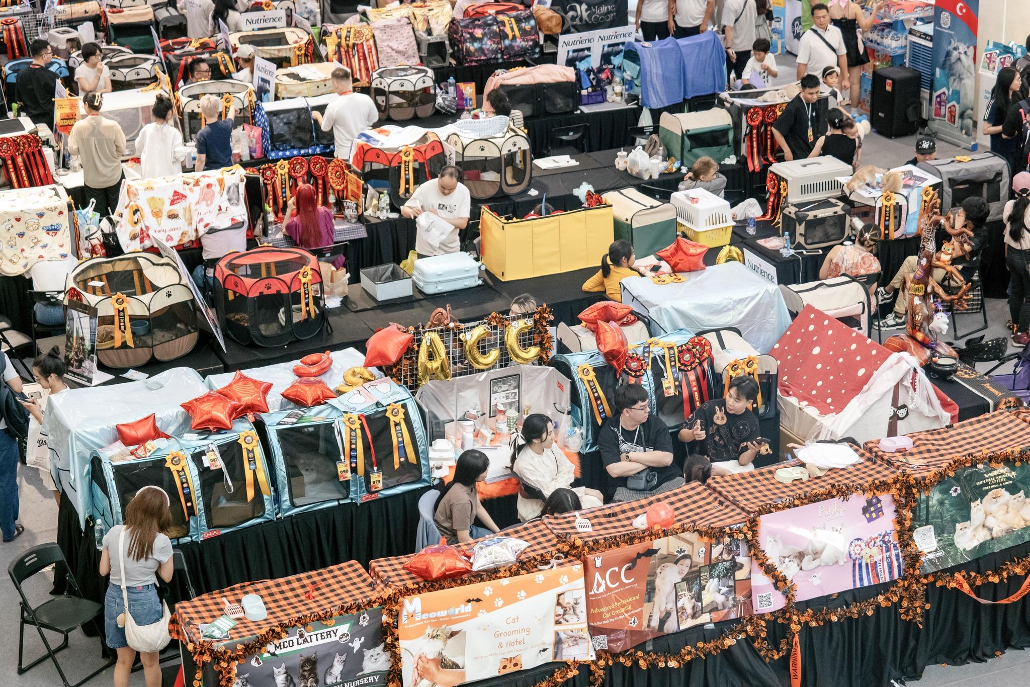 Liên Chi hội Mèo Việt Nam: Tổ chức tiên phong mở đường cho thị trường thú cưng đô thị - 7