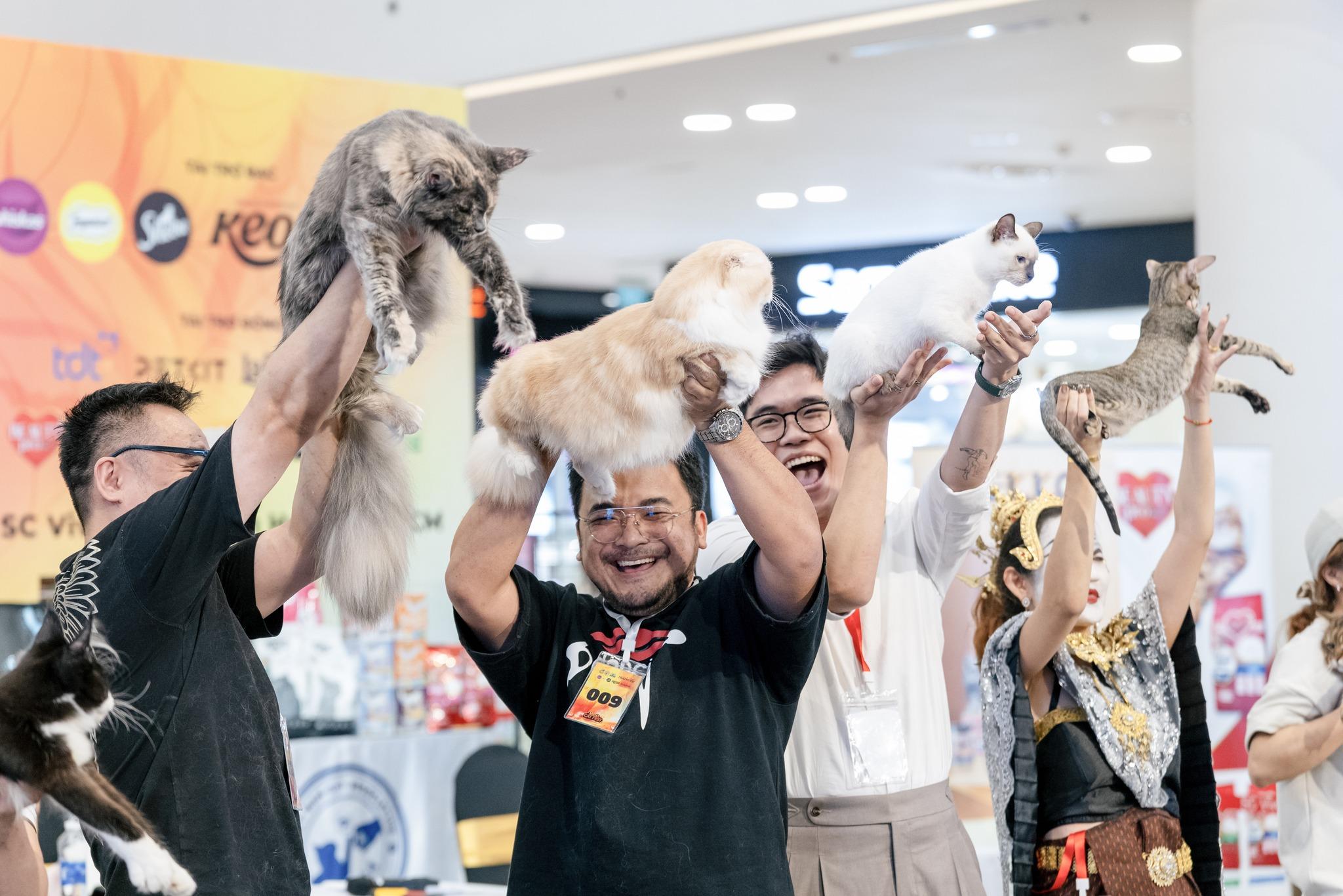 Liên Chi hội Mèo Việt Nam: Tổ chức tiên phong mở đường cho thị trường thú cưng đô thị - 8