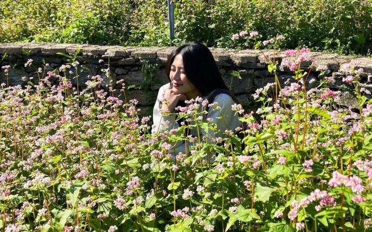 Gen Z rủ nhau lên núi săn mây, ngắm hoa tam giác mạch - 3