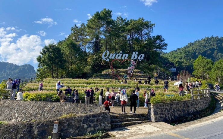 Gen Z rủ nhau lên núi săn mây, ngắm hoa tam giác mạch - 1