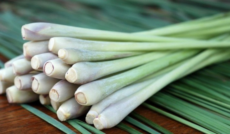 Ngâm chân với sả cải thiện các triệu chứng đau nhức.