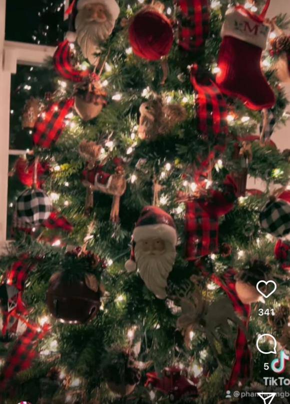 Qua một bức ảnh trang trí Noel, Phạm Hương để lộ cuộc sống ở Mỹ giữa nghi vấn rạn nứt với chồng đại gia - 21