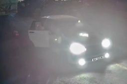 Vụ trộm chó bằng ôtô ở Tây Ninh: Bắt 1 đối tượng, mở rộng điều tra