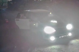 Vụ trộm chó bằng ôtô ở Tây Ninh: Bắt 1 đối tượng, mở rộng điều tra