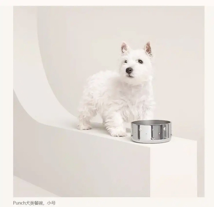 Bát ăn cho chó giá đắt “cắt cổ”, người lương 5 triệu không mua nổi - 2