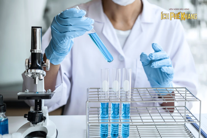 Các nghiên cứu chứng minh tinh dầu bạc hà, bạch đàn… có tính sát khuẩn tự nhiên cao và an toàn