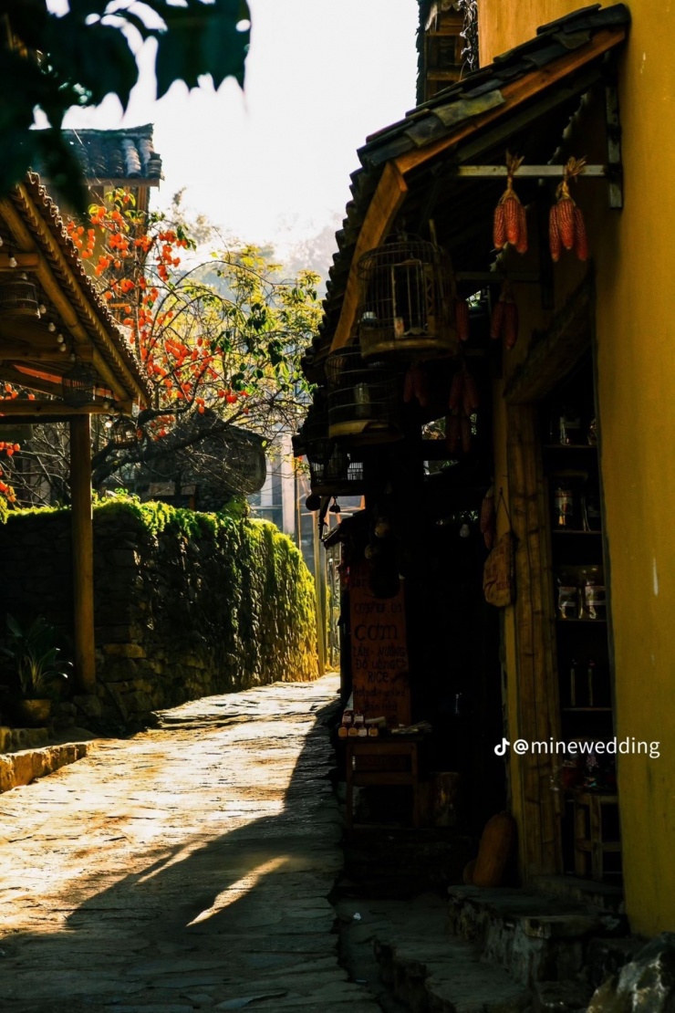 Cây hồng 'khổ nhất Việt Nam' hút khách check in làng Lô Lô Chải - 1