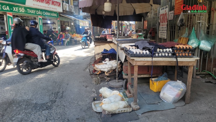 Nhiều sạp bày trực tiếp trên nền đất hoặc mép đường. Không gian vốn nhỏ hẹp của ngã ba càng trở nên chật chội hơn bởi tiếng mời chào, tiếng phân loại hàng và dòng người ra vào tấp nập. Ảnh: Khánh Dương