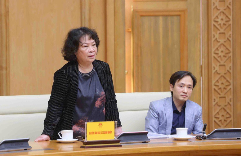 Đại diện của Công ty TNHH Việt Nam 3000 phát biểu tại cuộc họp - Ảnh: VGP