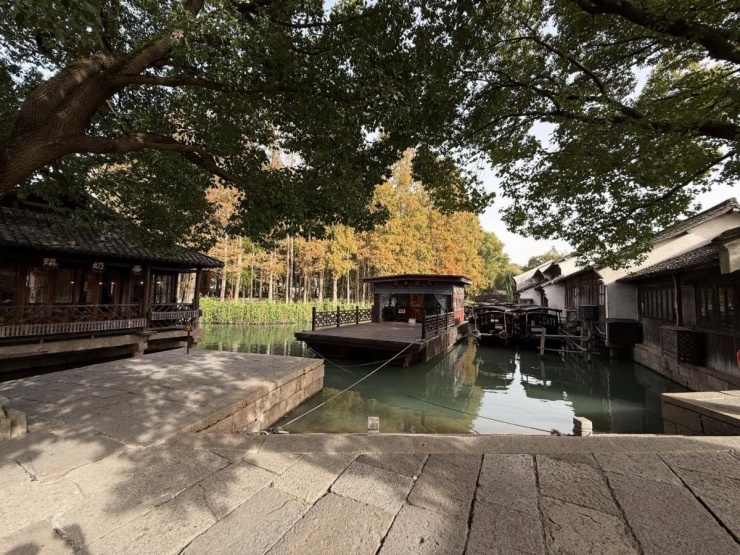 Vợ chồng Quế Ngọc Hải rong ruổi Ô Trấn cuối thu - 4