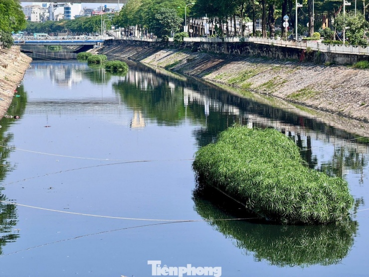 Sau một thời gian ‘hồi sinh’, nước sông Tô Lịch lại chuyển màu đen - 2