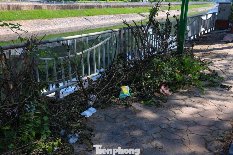 Sau một thời gian ‘hồi sinh’, nước sông Tô Lịch lại chuyển màu đen - 9