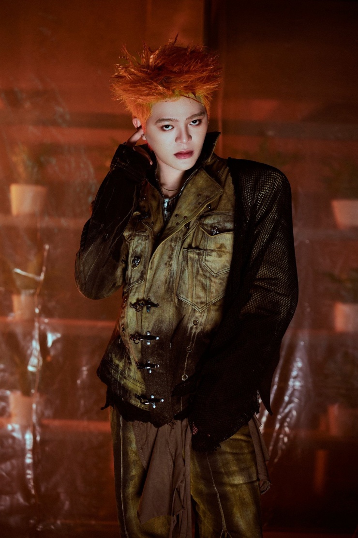 Nguyễn Quang Anh đăng quang Quán quân The Voice Kid 2013.