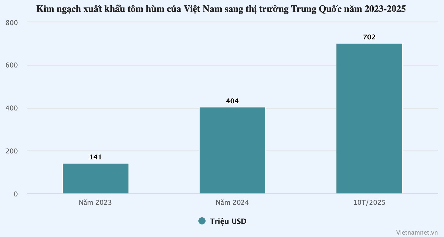 Trung Quốc ‘khoái’ tôm hùm xanh, Việt Nam thu hơn 700 triệu USD - 1