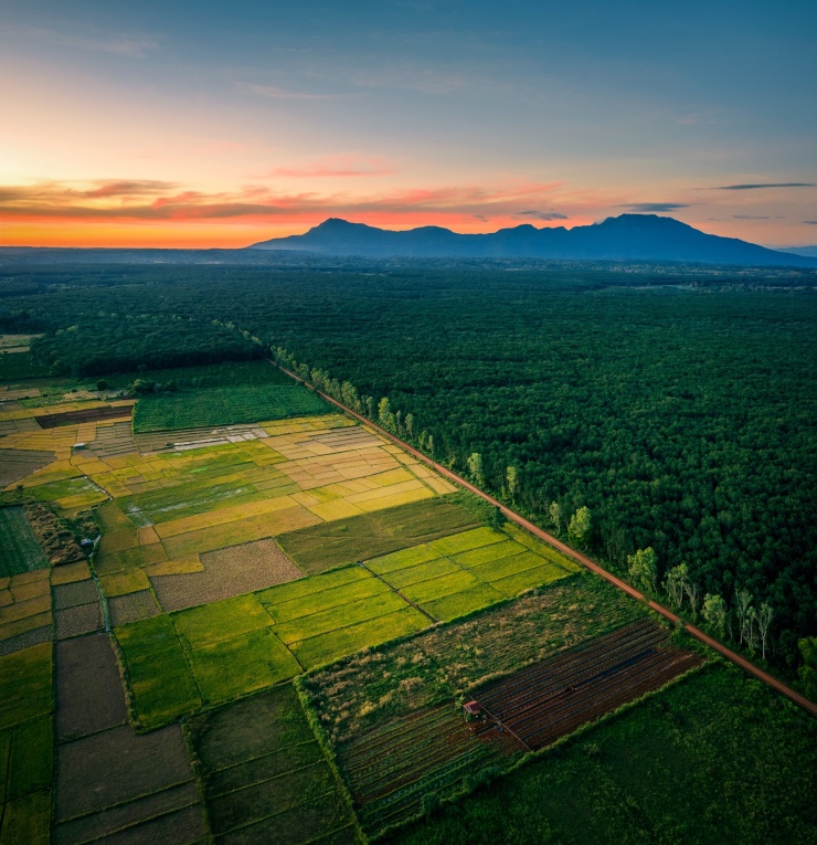 Cao nguyên Bolaven hùng vĩ.