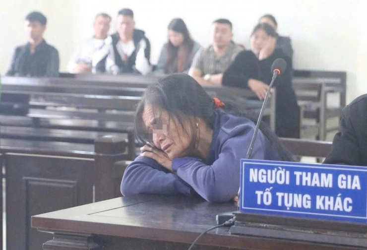 Bà V. khóc nghẹn tại tòa