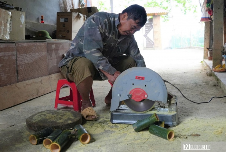 Người dân miền núi Nghệ An thu lời cao từ con siêu gặm nhấm - 4