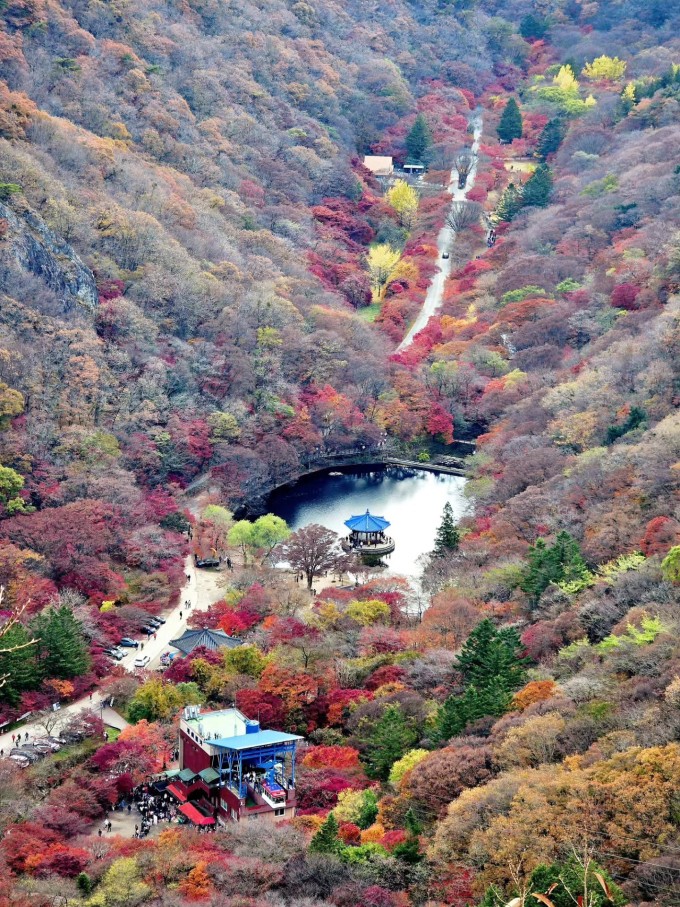 Du khách có thể chọn di chuyển lên đỉnh núi bằng cáp treo để ngắm nhìn toàn cảnh Naejangsan. Ảnh: _sky_82_