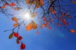 Vùng núi cao Bắc Bộ rét đậm, Hà Nội trời nắng hanh