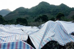 Thời tiết dị thường uy hiếp vựa 'vàng đen', dân phủ bạt, hun khói cứu cây