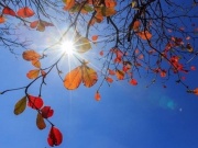 Vùng núi cao Bắc Bộ rét đậm, Hà Nội trời nắng hanh