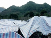 Thời tiết dị thường uy hiếp vựa 'vàng đen', dân phủ bạt, hun khói cứu cây