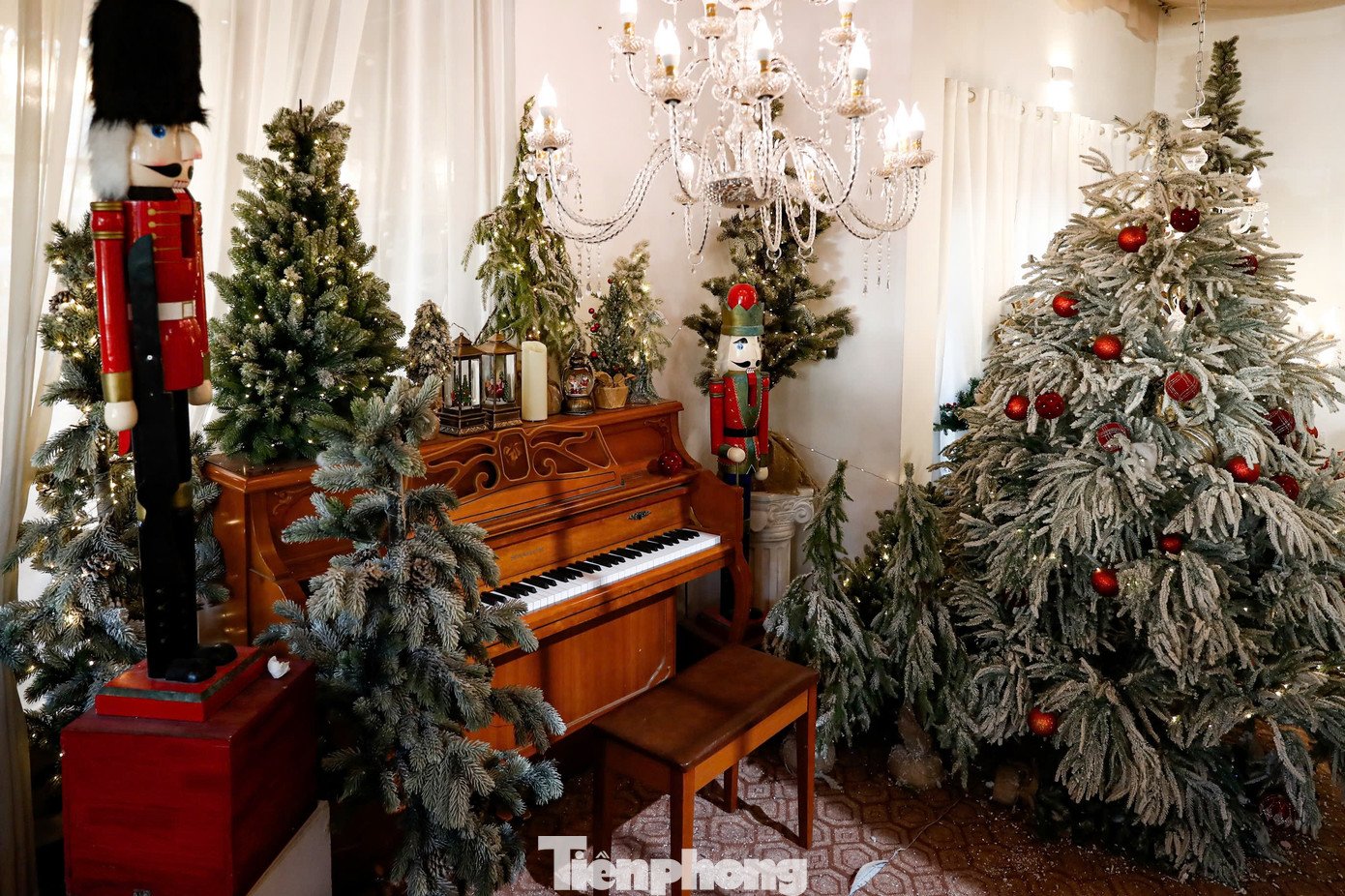 Các địa điểm này nổi bật với không gian được trang trí lộng lẫy, bao gồm cây thông rực rỡ ánh đèn, cùng các phụ kiện như gấu bông, cừu, lò sưởi... tạo nên khung cảnh lãng mạn như một "ngôi làng tuyết".