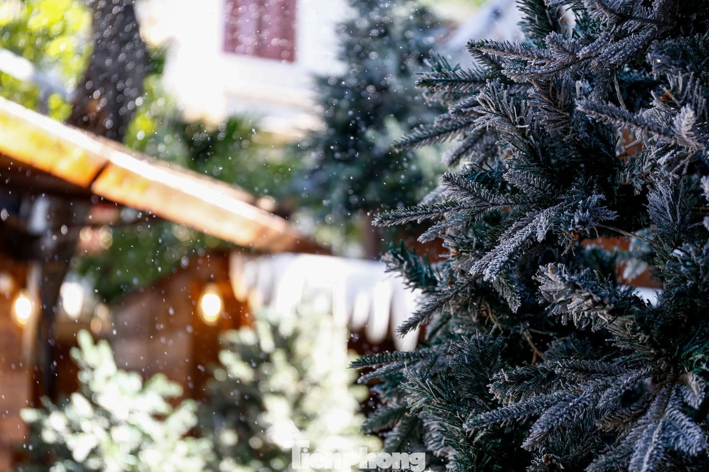 Khung cảnh “tuyết rơi trời Âu” giữa lòng Hà Nội tại một quán cà phê ở Hà Đông đang thu hút đông đảo bạn trẻ đến check-in dịp Noel.