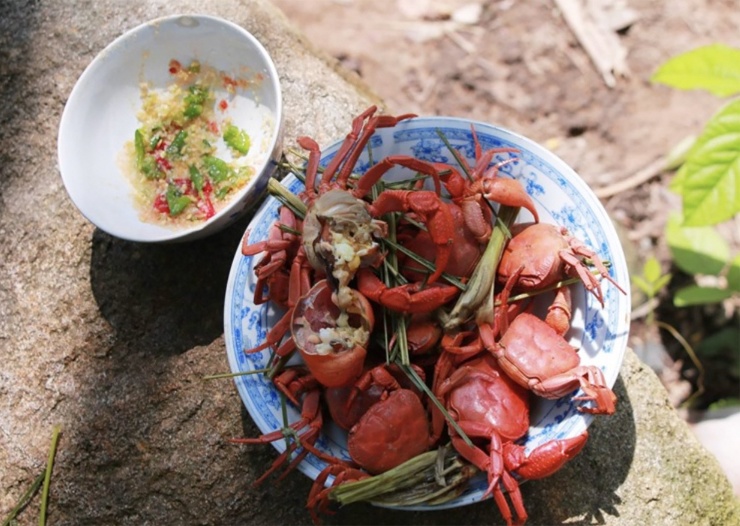 Đến với Núi Cấm, du khách không chỉ được tận hưởng không khí trong lành, phong cảnh hùng vĩ mà còn có cơ hội thưởng thức những đặc sản mang hương vị núi rừng như: bánh xèo, măng tươi, gà hấp bầu, gà đốt, lẩu mắm hay cá lóc nướng trui. Trong đó, món được nhiều người “săn lùng” nhất chính là cua đá núi - đặc sản lạ, giá thành không rẻ nhưng luôn trong tình trạng khan hiếm. Ảnh: T.Q