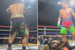 Cú knock-out boxing hay nhất năm, đấm đối thủ ngã như chuối đổ