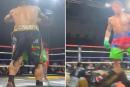 Cú knock-out boxing hay nhất năm, đấm đối thủ ngã như chuối đổ