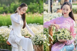 Hà Nội đẹp nao lòng với loài hoa báo mùa đông sang