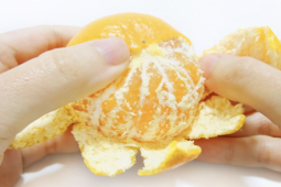 Công dụng bất ngờ của sợi xơ trắng trên cam, quýt