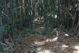 Đi đào giun, người đàn ông phát hiện kho báu quý giá