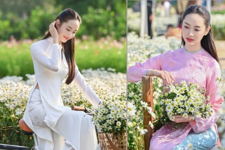 Hà Nội đẹp nao lòng với loài hoa báo mùa đông sang