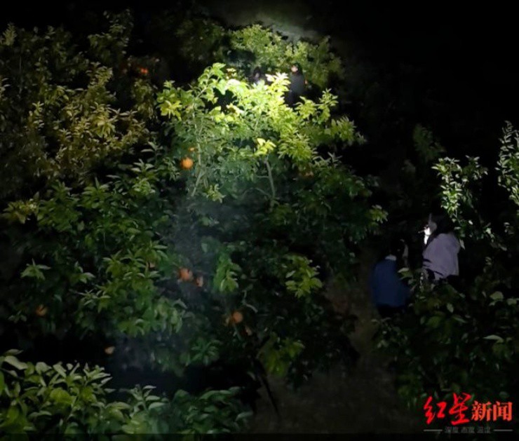 Ảnh: Red Star News