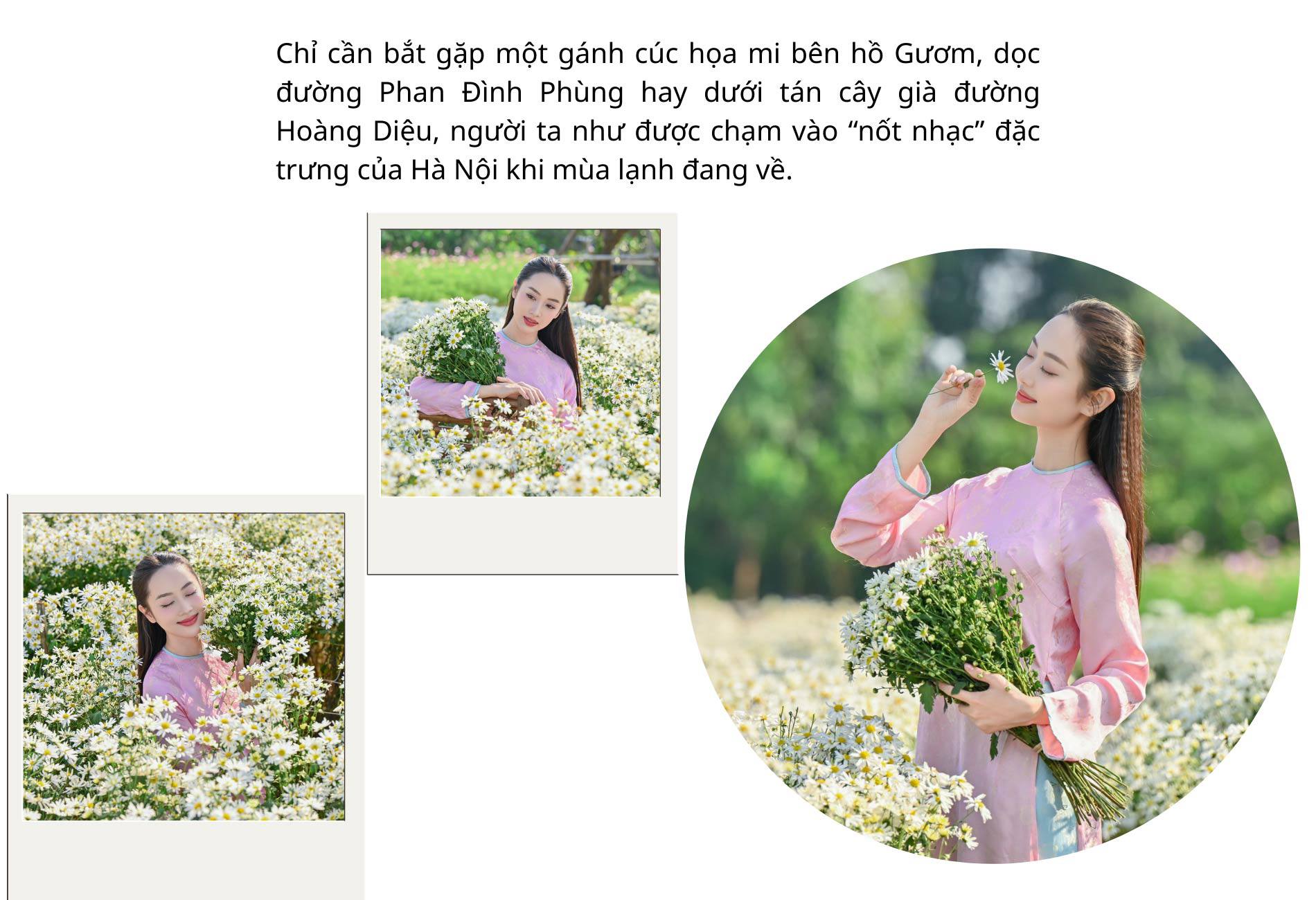 Hà Nội đẹp nao lòng với loài hoa báo mùa đông sang - 7