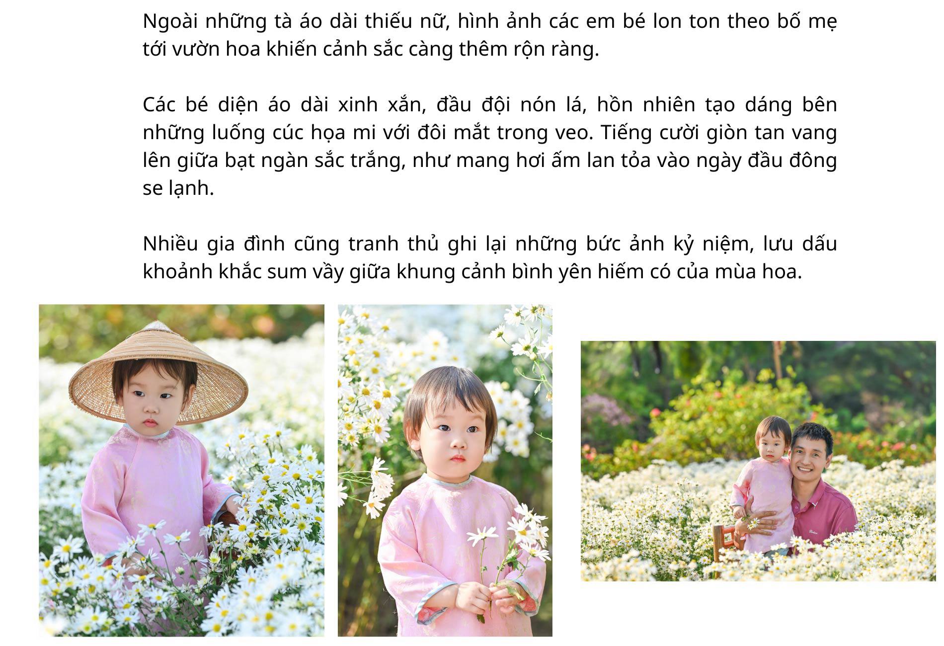 Hà Nội đẹp nao lòng với loài hoa báo mùa đông sang - 13