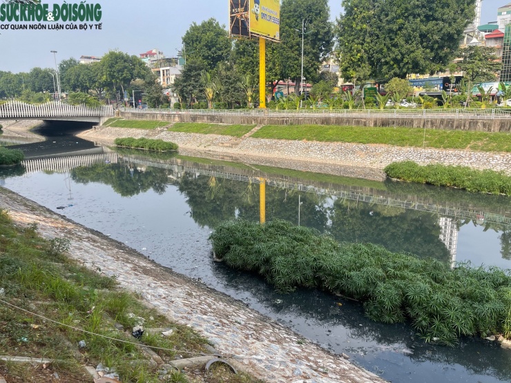 Theo ghi nhận của phóng viên Báo Sức khoẻ và Đời sống, ngày 2/12, nước sông Tô Lịch nhiều đoạn lại chuyển sang màu đen.