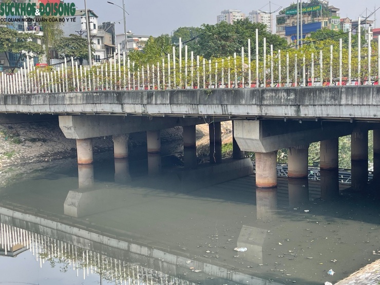 Bằng mắt thường dễ dàng quan sát nước sông Tô Lịch có màu đen kịt.