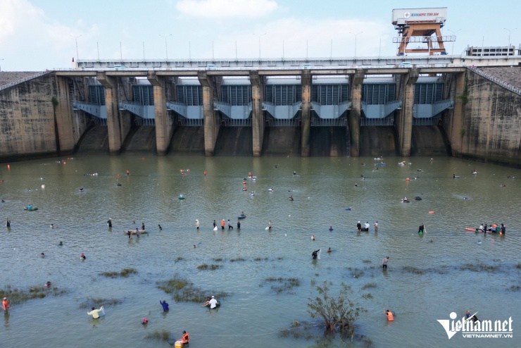 Ngày 2/12, hồ thủy điện Trị An (xã Trị An, Đồng Nai) bắt đầu đóng đập sau hơn 1 tháng xả lũ, mở ra cơ hội hiếm có trong năm để người dân săn cá lớn