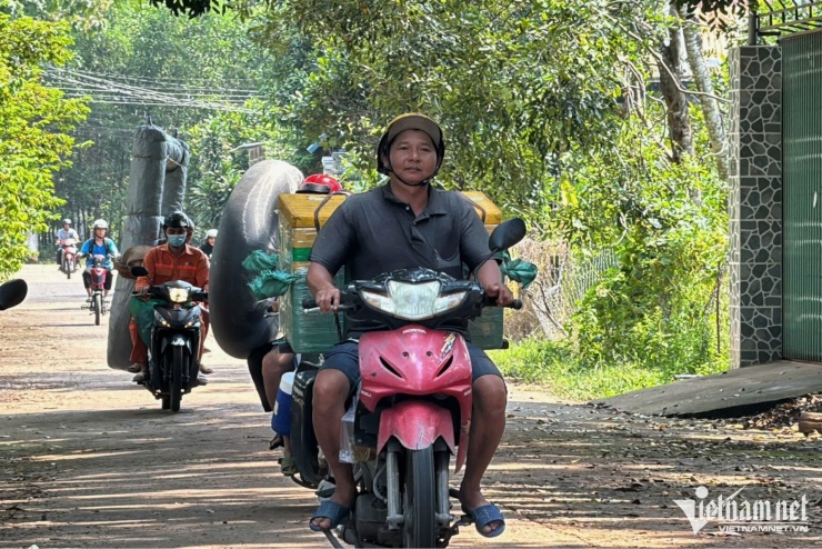 Từ sáng sớm, hàng trăm người từ các xã quanh hồ cùng các nhóm từ Trảng Dài, Tân Triều, Bình Minh, Trảng Bom, Tân An và cả TPHCM đã có mặt tại chân đập, mang theo lưới, chài, vợt, phao hơi, thậm chí cả xuồng nhỏ để tiếp cận những vùng nước sâu