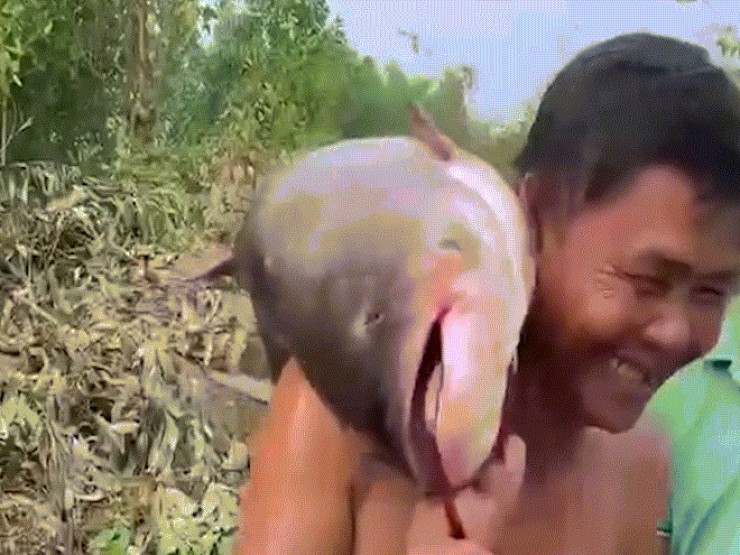 Ngày hiếm có trong năm, hàng trăm người đổ về hồ Trị An săn cá khủng