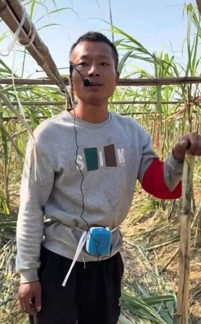 Anh nông dân cho khách vào “ăn trộm” mía ở trang trại, thu nhập tăng 10 lần - 1