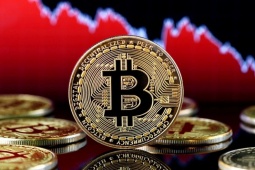 Bitcoin cắm đầu giảm sâu: Các ông lớn nắm giữ tiền số lao đao